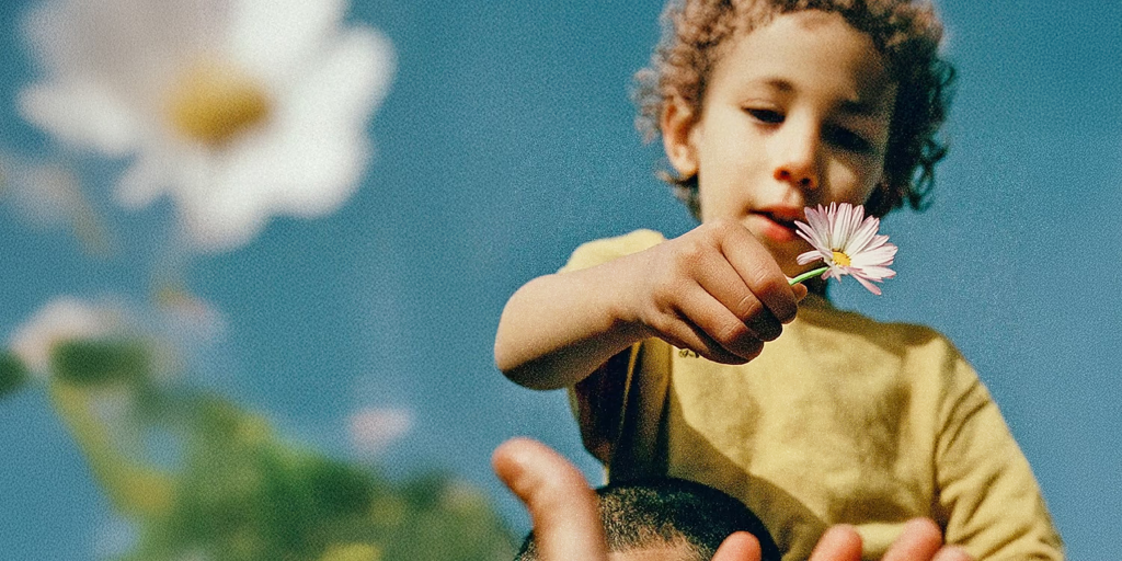 Plus1 – Strutsekonomi-stipendiet